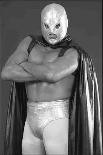 Póster de El hijo del Santo