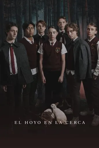 Póster de El hoyo en la cerca
