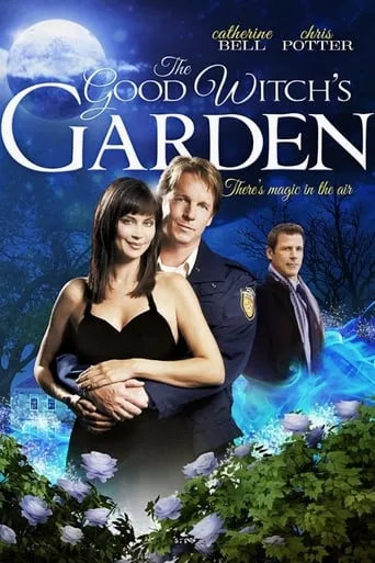 Póster de El jardín de la dama de gris