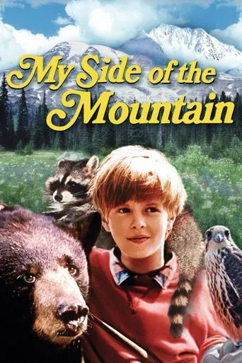 Póster de El muchacho y su montaña