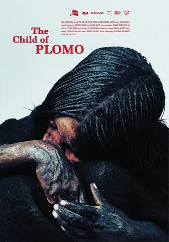 Póster de El niño del Plomo