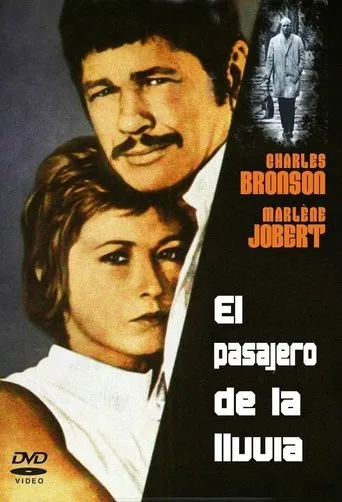 Póster de El pasajero de la lluvia
