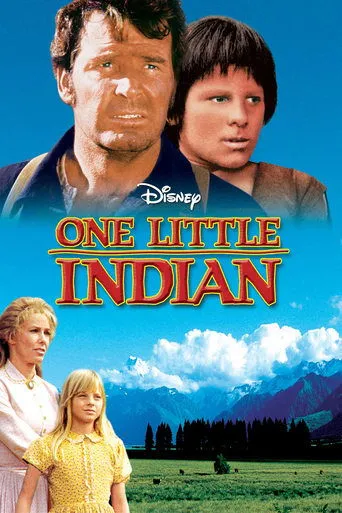 Póster de El pequeño indio