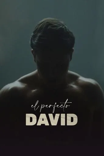 Póster de El perfecto David