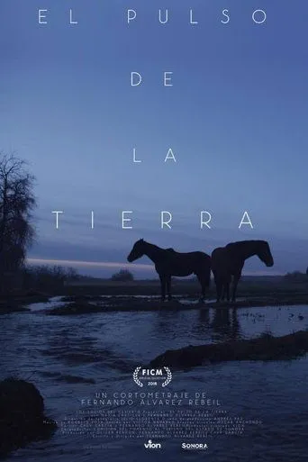 Póster de El pulso de la tierra