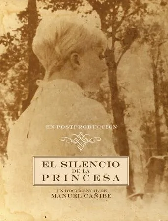Póster de El silencio de la princesa