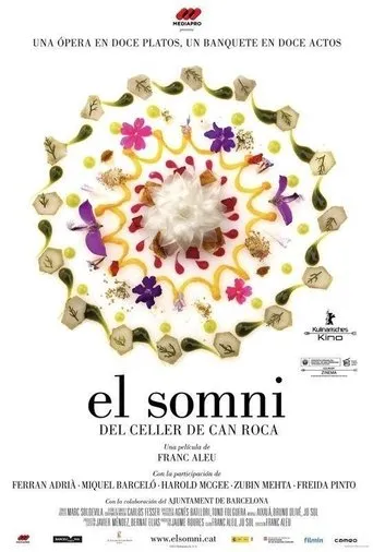 Póster de El somni