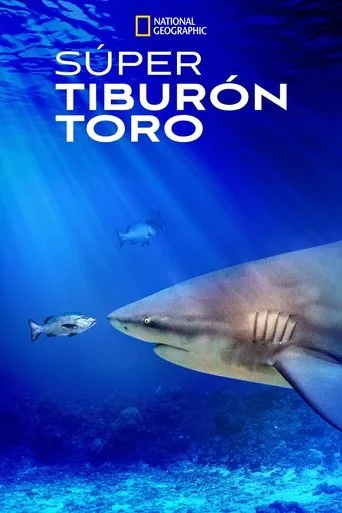 Póster de El tiburón toro mas grande del mundo