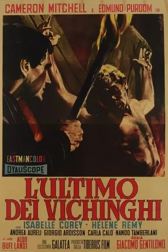 Póster de El último vikingo