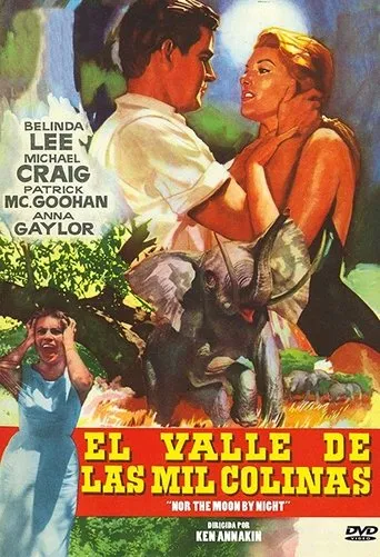 Póster de El valle de las mil colinas