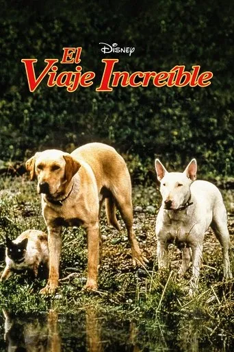 Póster de El viaje increible