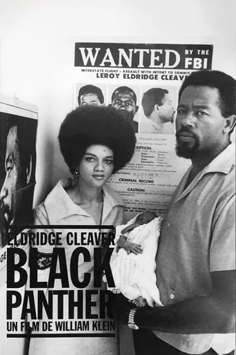 Póster de Eldridge Cleaver, Black Panther