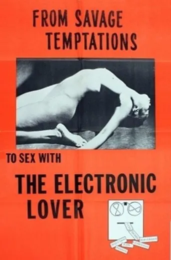 Póster de Electronic Lover