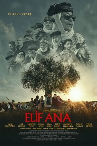 Póster de Elif Ana