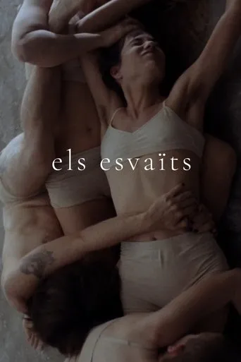 Póster de Els esvaïts