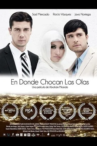 Póster de En donde chocan las olas