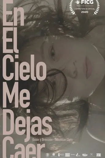 Póster de En el cielo me dejas caer