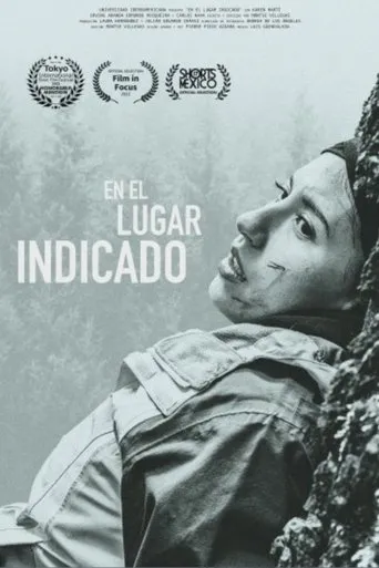 Póster de En el lugar indicado