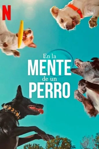 Póster de En la mente de un perro