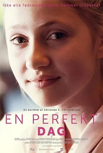 Póster de En perfekt dag