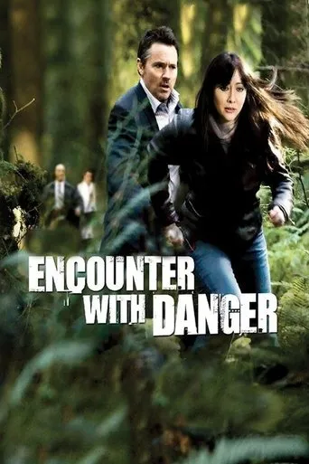 Póster de Encuentro con el peligro