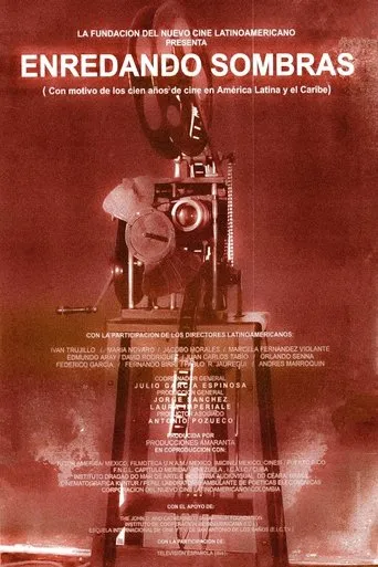 Póster de Enredando sombras
