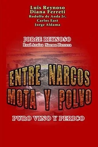 Póster de Entre narcos, mota y polvo