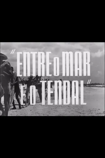 Póster de Entre o Mar e o Tendal