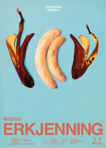 Póster de Erkjenning