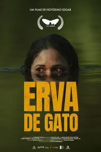 Póster de Erva de Gato