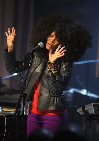 Póster de Erykah Badu Live at VH1 Soul Stage 2008
