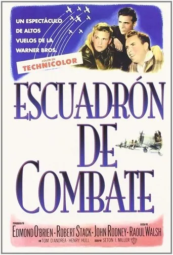 Póster de Escuadrón de combate