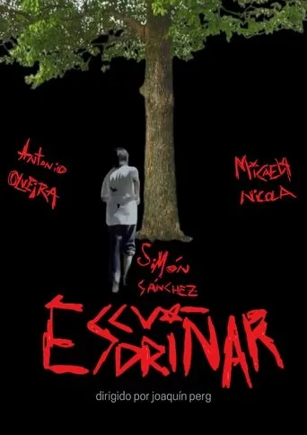 Póster de Escudriñar