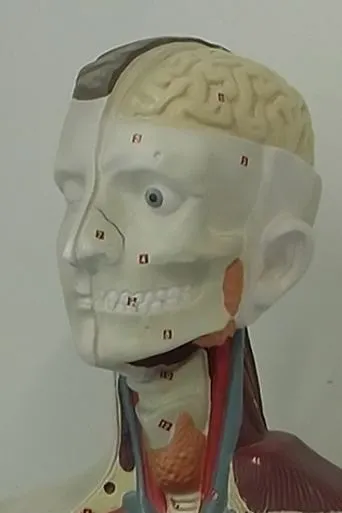 Póster de Esercizi di Cinema