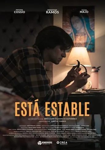 Póster de Está Estable