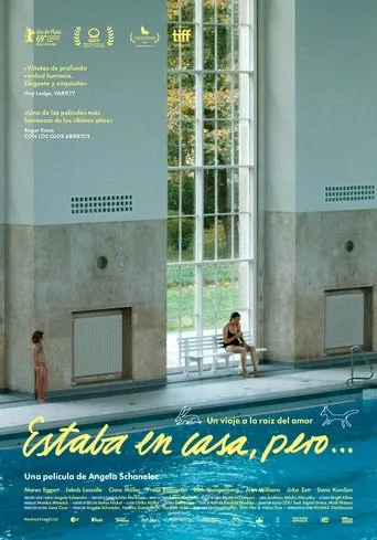 Póster de Estaba en casa, pero... (2019) con Alan Williams como Mr. Meisner