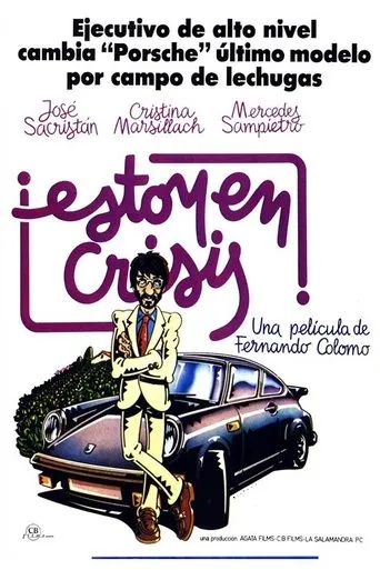 Póster de Estoy en crisis