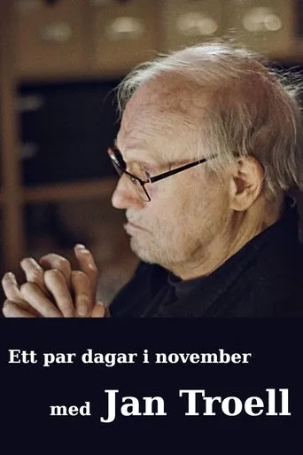 Póster de Ett par dagar i november med Jan Troell