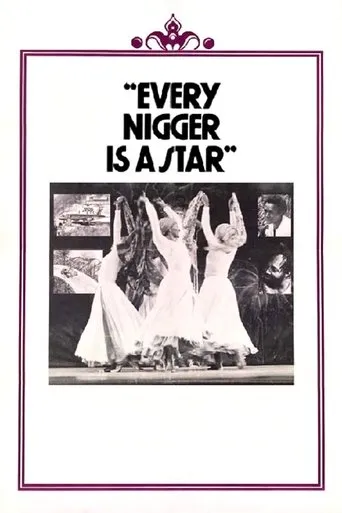Póster de Every Nigger Is a Star