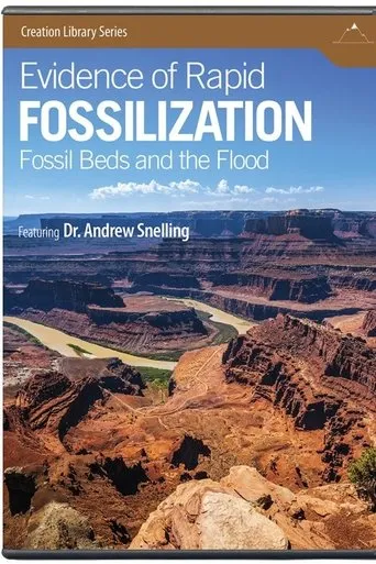 Póster de Evidence of Rapid Fossilization