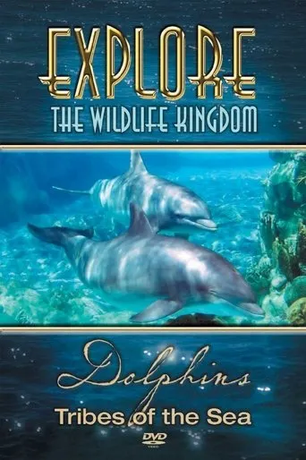 Póster de Explore the Wildlife Kingdom: Dolphins - Tribes of the Sea