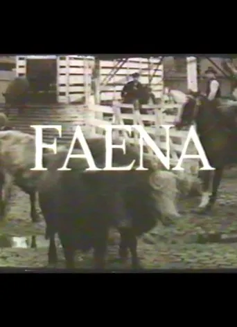 Póster de Faena