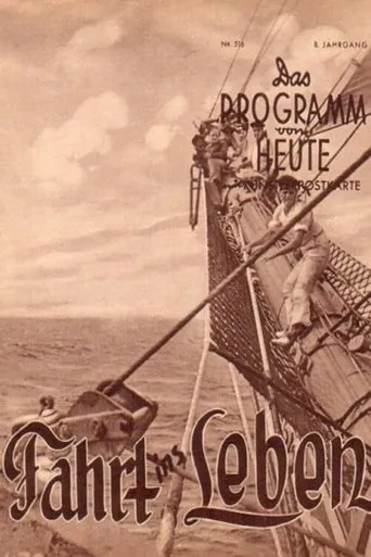 Póster de Fahrt ins Leben