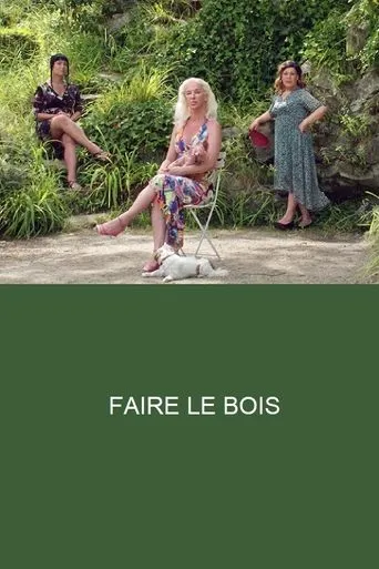 Póster de Faire le Bois