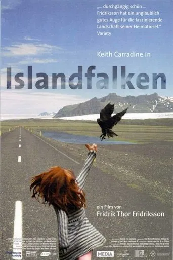 Póster de Fálkar