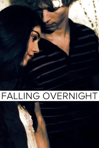 Póster de Falling Overnight