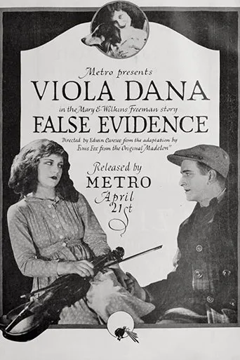 Póster de False Evidence