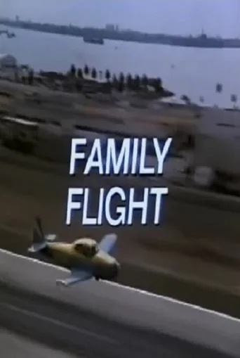 Póster de Family Flight
