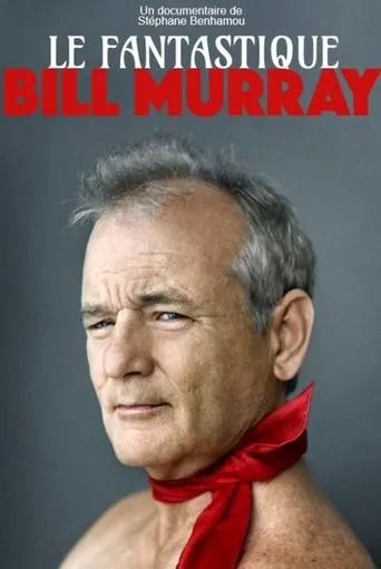 Póster de Fantástico Sr. Murray