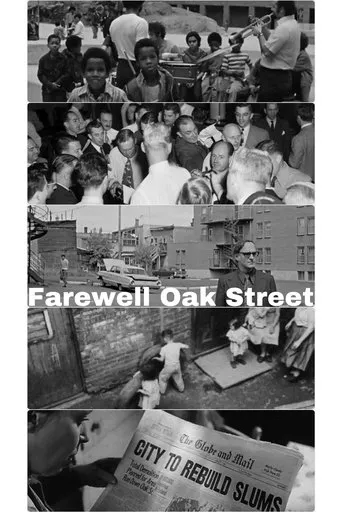 Póster de Farewell Oak Street